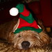 Oscar Noel Photo 24