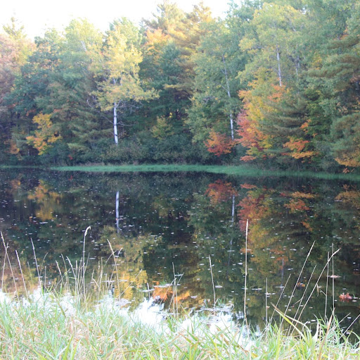 Sharon Bergeron Photo 10