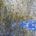 Lora Winter Photo 15