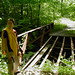 Elizabeth Oberlin Photo 14