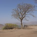 John Campi Photo 27