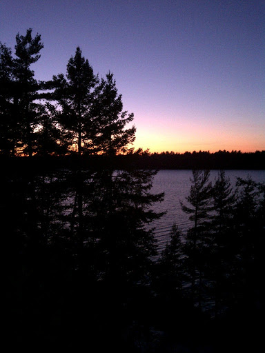 Rhonda Warner Photo 12
