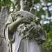 Leigh Fields Photo 26