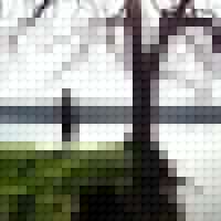 Christopher Peel Photo 1