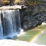 Carol Hopkins Photo 28