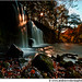 Andrew Melin Photo 12