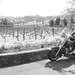 Harley Cline Photo 15