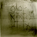 Elizabeth Crowther Photo 22