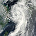Scott Goddard Photo 39
