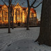 Mike Wager Photo 23