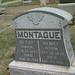 Henry Mckinley Photo 22