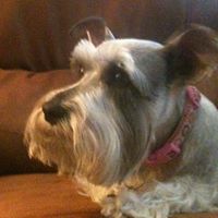 Sheryl Landry Photo 5