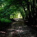 Jerry Lumpkin Photo 17