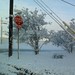 Jason Gonzalez Photo 49