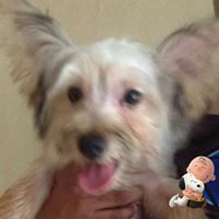 Carlos Becerra Photo 3