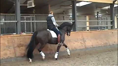 Edward Trainer Photo 12