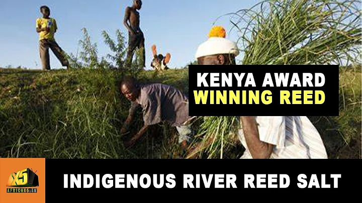 Kenya Reed Photo 35