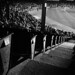 Alan Parrish Photo 43