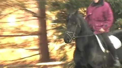Carol Orwig Photo 9