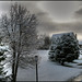 Chris Winter Photo 48