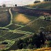 Antonio Ricci Photo 33