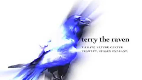 Terry Crow Photo 31