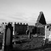 Roderick Macleod Photo 21