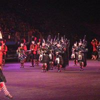 Cindy Halliday Photo 7