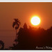 Puja Sharma Photo 26