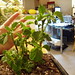 Kevin Plant Photo 32