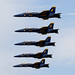 Robert Weisser Photo 23