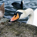 Sean Coots Photo 16