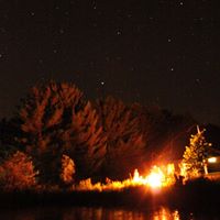 Ann Hetherington Photo 1