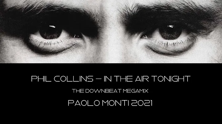 Monti Collins Photo 7