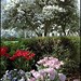 Rose Stern Photo 21