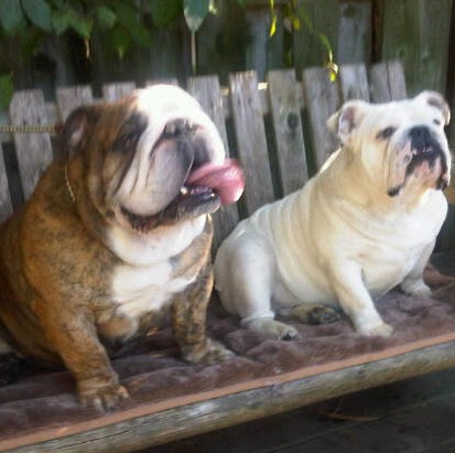 Tracey Hennessy Photo 9