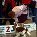 Carol Nickel Photo 26