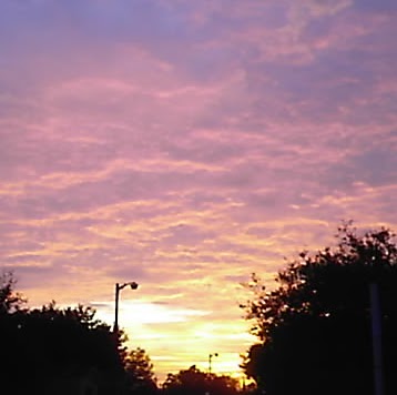 Vickie Thornhill Photo 1