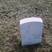Robert Coulter Photo 49