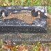 Dorothy Ervin Photo 27