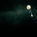 Christine Gentes Photo 13