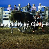 Adam Cummings Photo 6