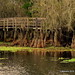 Scott Haller Photo 38