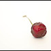 Cherry Gray Photo 32