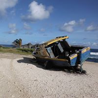 Lynn Blackwell Photo 7