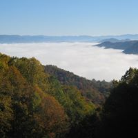 Charles Hoke Photo 2