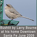Larry Bourne Photo 27