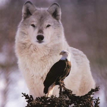 Bob Ouellette Photo 15