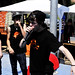 Samuel Valenzuela Photo 35