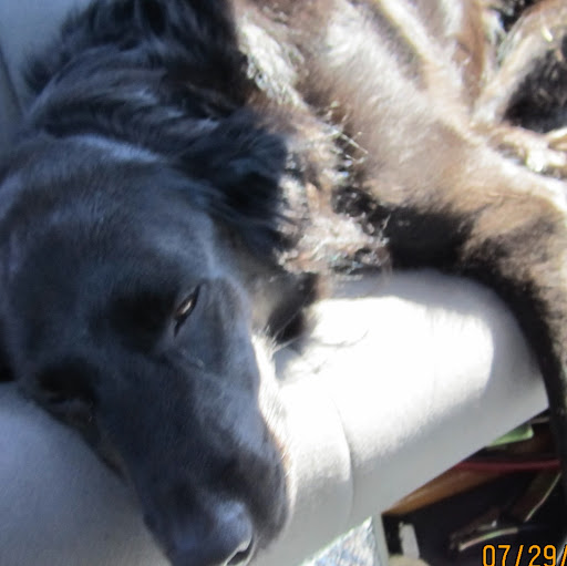 Kevin Mattern Photo 12